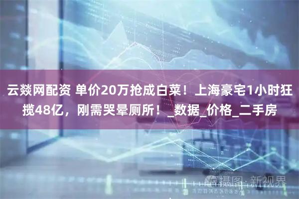 云燚网配资 单价20万抢成白菜！上海豪宅1小时狂揽48亿，刚需哭晕厕所！_数据_价格_二手房