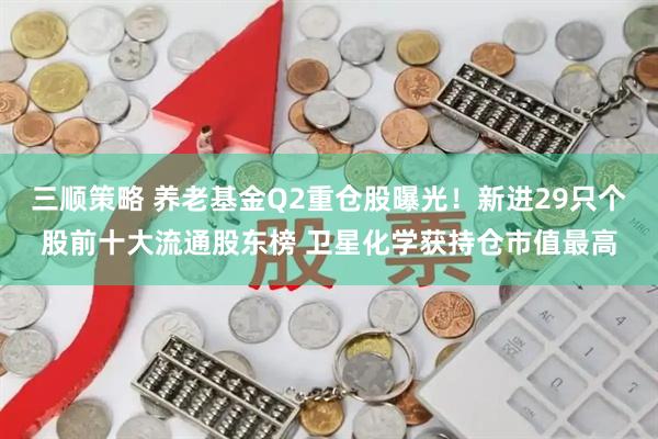 三顺策略 养老基金Q2重仓股曝光！新进29只个股前十大流通股东榜 卫星化学获持仓市值最高