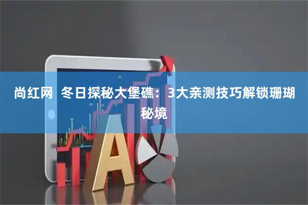 尚红网  冬日探秘大堡礁：3大亲测技巧解锁珊瑚秘境