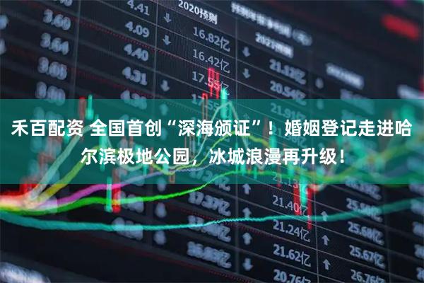 禾百配资 全国首创“深海颁证”！婚姻登记走进哈尔滨极地公园，冰城浪漫再升级！