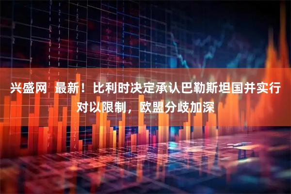 兴盛网  最新！比利时决定承认巴勒斯坦国并实行对以限制，欧盟分歧加深