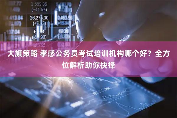 大旗策略 孝感公务员考试培训机构哪个好?全方位解析助你抉择