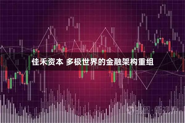 佳禾资本 多极世界的金融架构重组